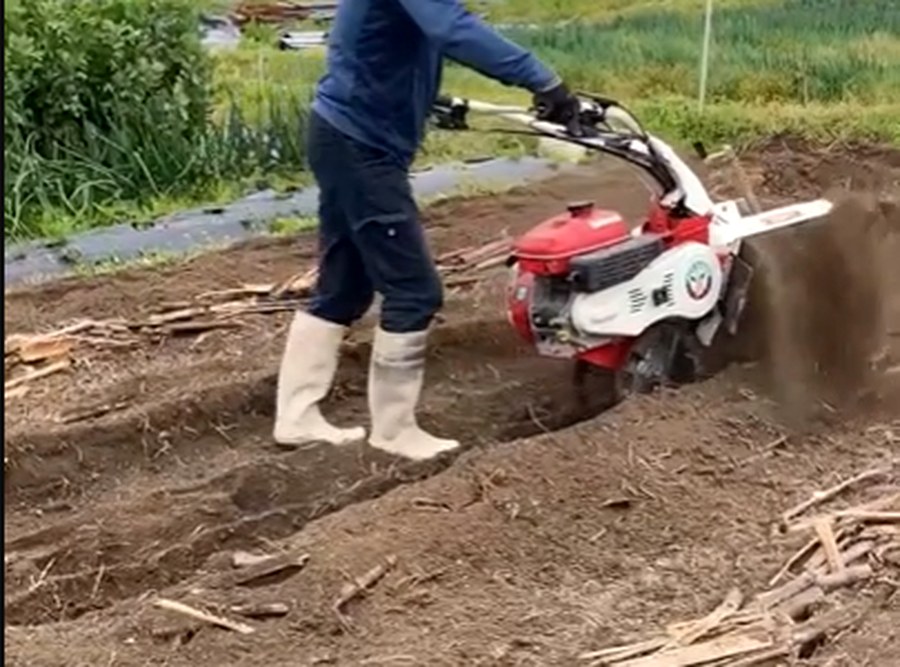 畑で作業する様子